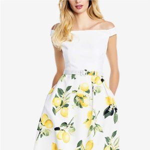 NWT**Adrianna Papell Lemon Dress